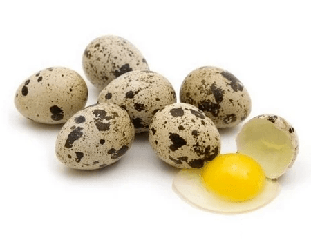 Bıldırcın yumurtası